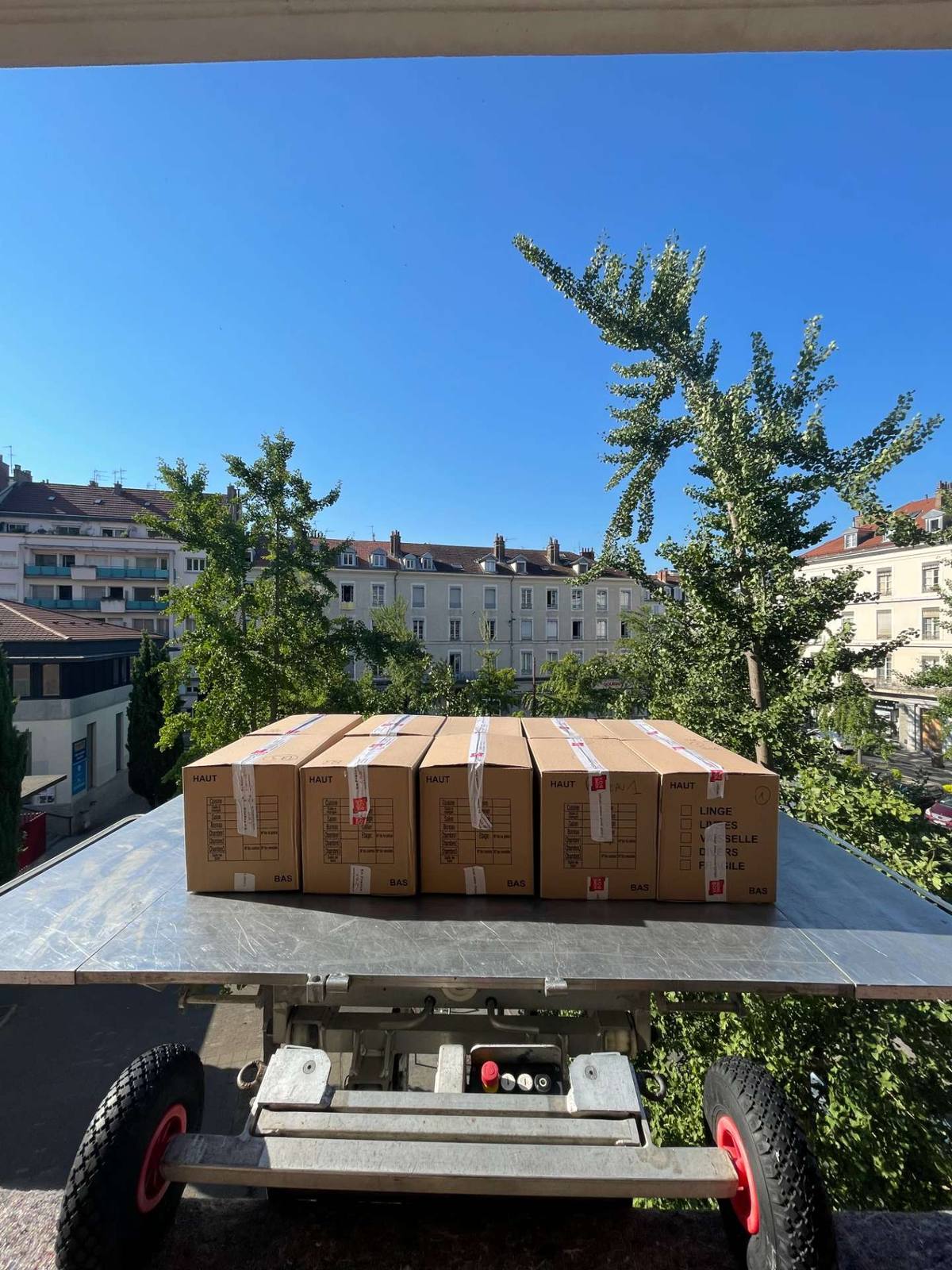 Cartons HOMEBOX sur plateau de monte-meuble, vue sur les toits de Grenoble